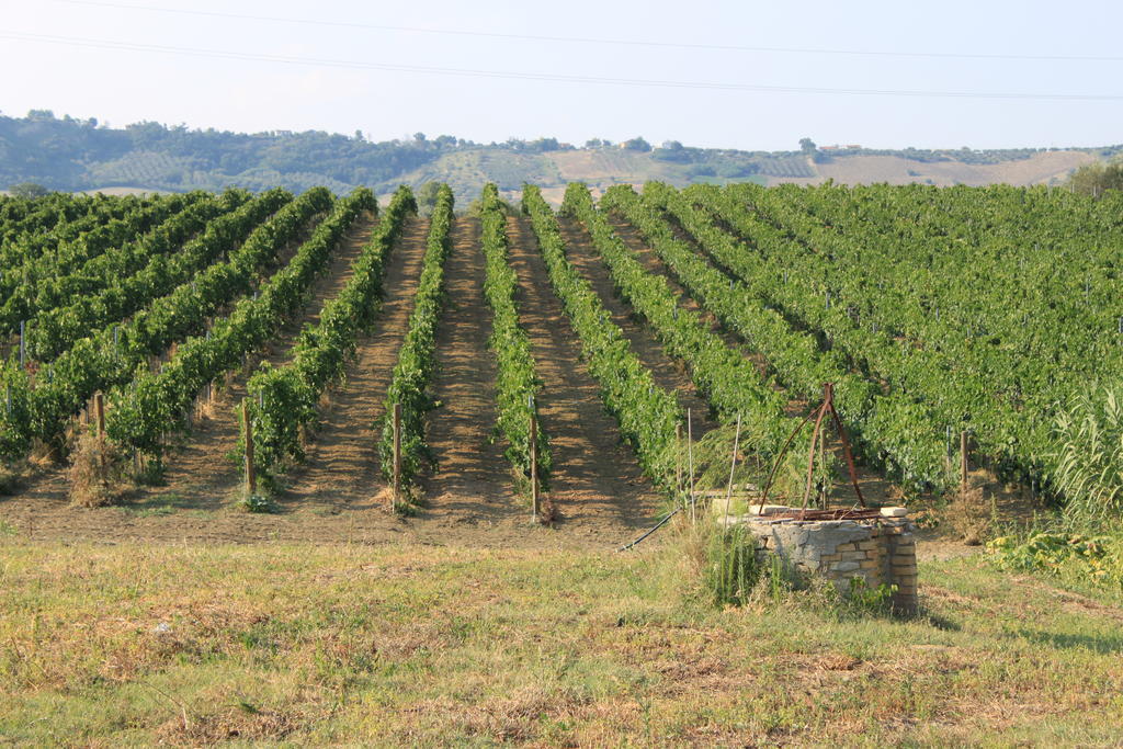 Agriturismo Rosso Di Sera Cugnoli Buitenkant foto